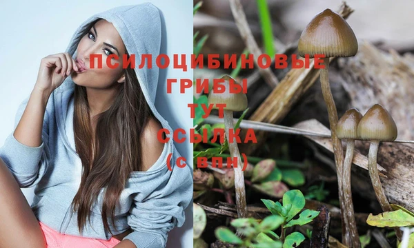 трава Аркадак
