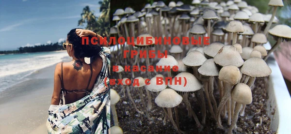 трава Армянск