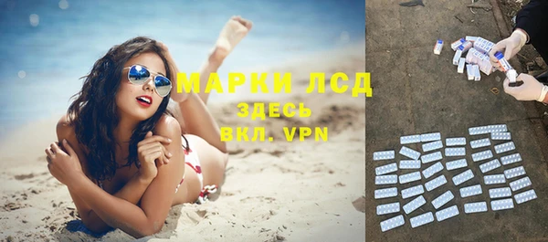 трава Аркадак