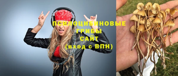 метадон Арсеньев